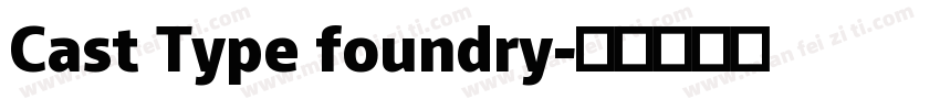 Cast Type foundry字体转换
